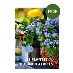 Couverture d'un PDF intitulé 'Les plantes bio-indicatrices', avec une image de fleurs dans des arrosoirs et des paniers.